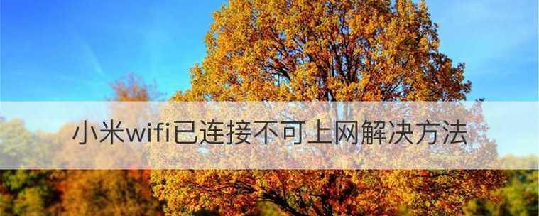家用WiFi连接无法上网（解决家用WiFi无法上网的最佳方法与技巧大揭秘）
