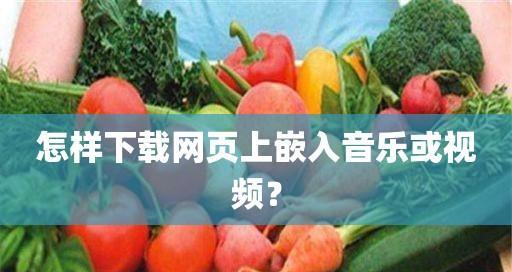 手机可用的SWF播放器推荐（探索最佳SWF文件播放解决方案）
