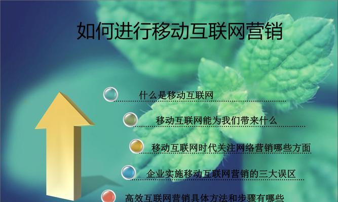 网络营销策划（以为导向）