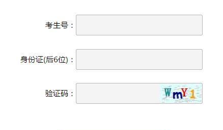 如何查询考试院官网录取结果（掌握关键入口）