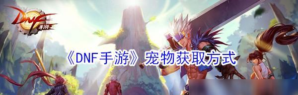 DNF手游宠物大全（众多宠物助你征服魔域）