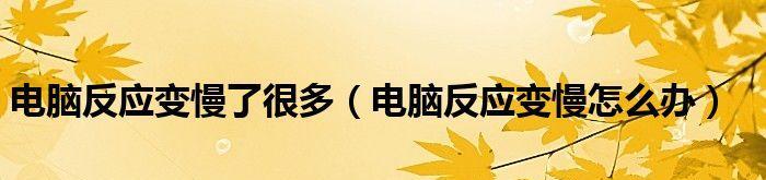 解决台式电脑卡顿和反应慢的问题（提升电脑性能）