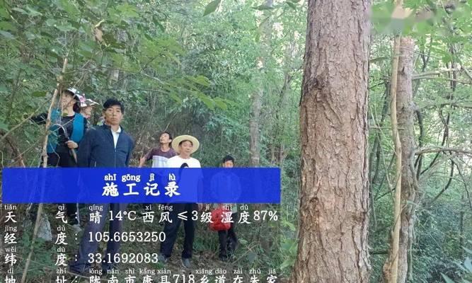 从lnk文件到正常格式（了解如何将lnk文件转化为可读的常规文件格式）