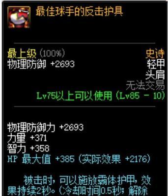 DNF110级奶妈装备排行榜-全方位指南（探索强大的装备选择）