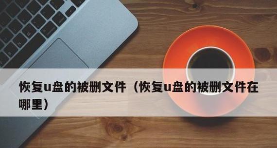 如何找回已删除的文件（技巧与方法详解）