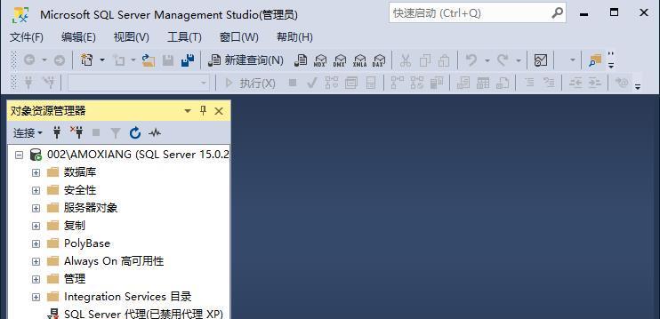 SQLServer入门教程（掌握SQLServer的基础知识和技巧）