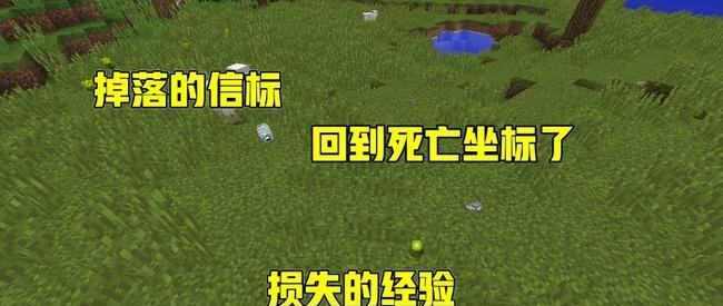《我的世界开创造指令——创造你的游戏世界》（用创造指令打开无限可能的大门）