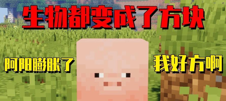 探秘Minecraft隐藏方块（使用Mod发现隐藏方块的神奇世界）