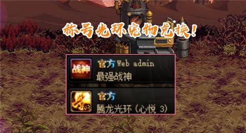 DNF心悦宠物，哪个好看（探寻DNF心悦宠物的美丽之处）
