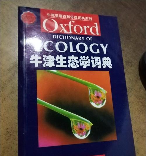如何快速学习英语（有效的学习方法和技巧）