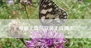 电脑无线网卡怎么安装？安装过程中常见问题有哪些？