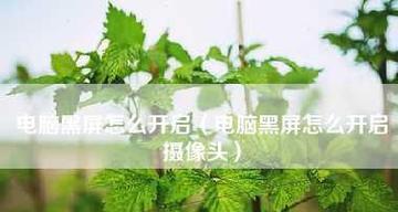 家用台式电脑摄像头怎么安装？安装步骤有哪些常见问题？
