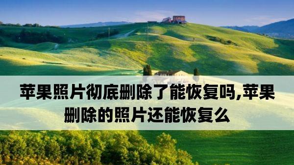 如何恢复删除的照片和视频？恢复过程中的常见问题解答？