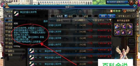 dnf圣职者装备搭配怎么选择？搭配时需要注意哪些常见问题？