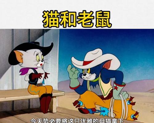 汤姆猫中小母猫指的是什么部位？有何特点？