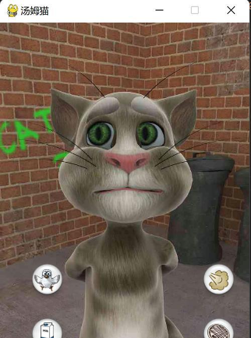 汤姆猫中小母猫指的是什么部位？有何特点？