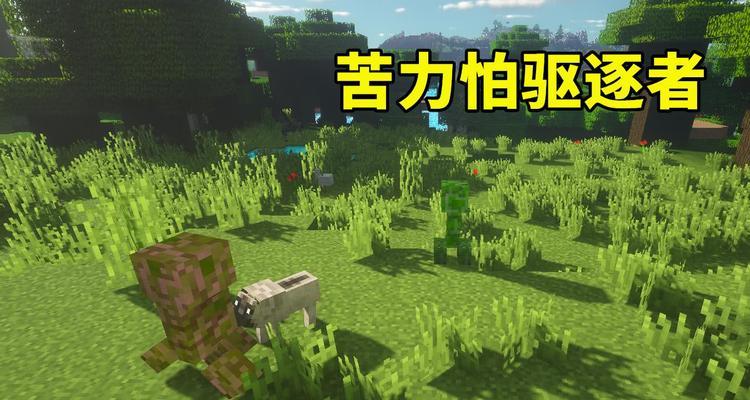 我的世界中如何放置狗狗？需要什么条件？