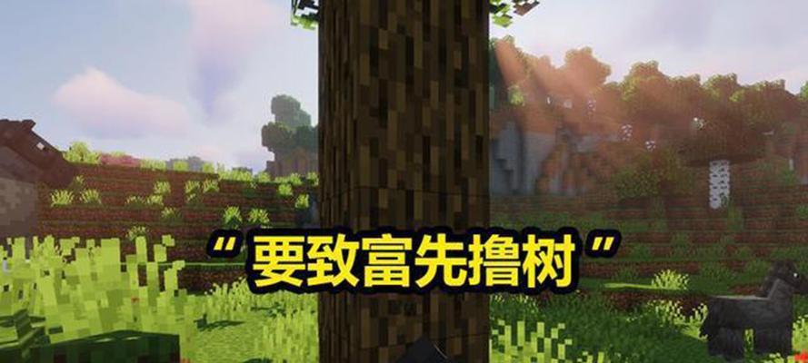 我的世界中如何快速致富？有哪些致富小技巧？