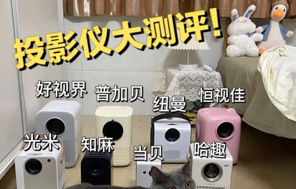 芝麻投影仪输出功能如何激活？使用中遇到问题怎么办？