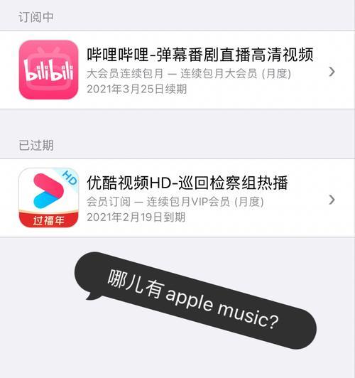 动漫弹幕服务器卡顿怎么办？如何优化设置？