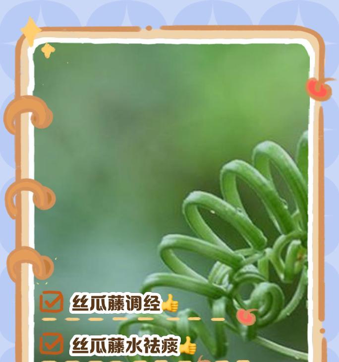 丝瓜在魔兽世界中的获取方式是什么？丝瓜有何用途？