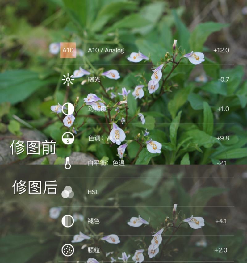 索尼相机降低曝光度的操作方法是什么？如何调整以获得理想效果？