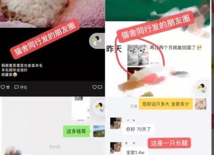 英雄联盟温稚需要达到什么段位才能参与比赛？段位要求是什么？