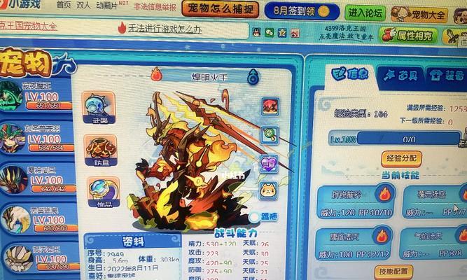 洛克王国宠物属性调整方法是什么？调整后效果如何？
