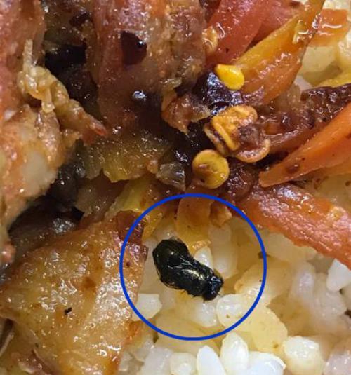电视屏幕下有苍蝇怎么解决？会影响观看吗？