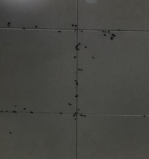 电视屏幕下有苍蝇怎么解决？会影响观看吗？