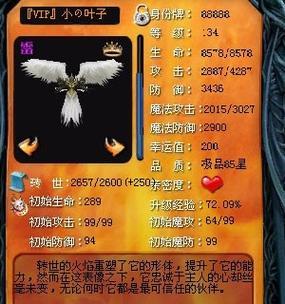魔域宠物怎么弄好看的技能？有哪些技巧？