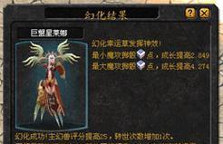 魔域鸡年年兽神祭的正确方式是什么？