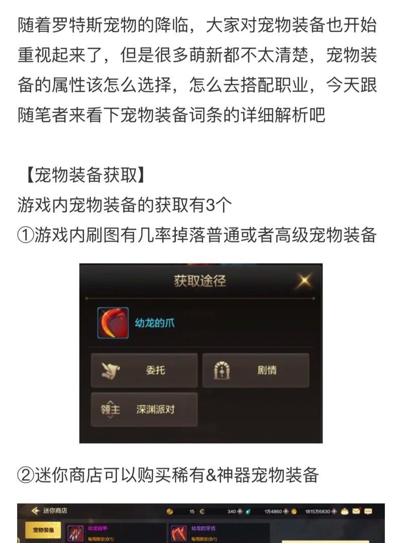 dnf宠物的命名技巧有哪些？如何给宠物起一个好听的名字？