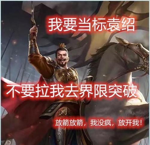 三国杀双降组合如何搭配最有效？