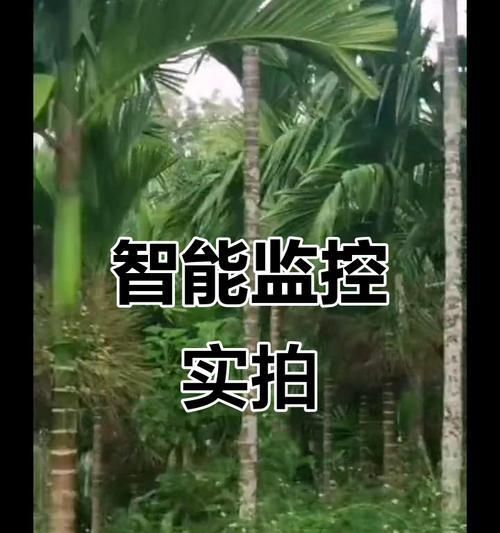 手机摄像头被监控的迹象有哪些？如何防止手机摄像头被监控？