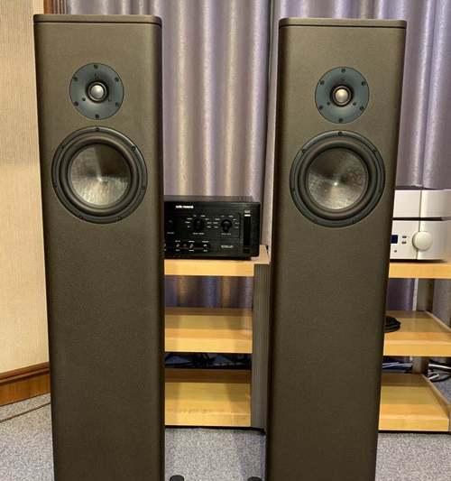 博士s1音箱手机如何调控？调控过程中有哪些技巧？