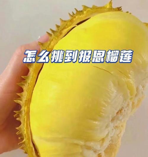 榴莲手机摄像头开启方法是什么？
