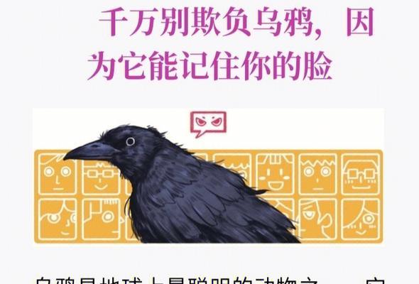 英雄联盟黑子乌鸦玩法指南？如何发挥黑子乌鸦的最大潜力？