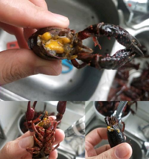 魔兽世界龙虾人怎么那么少？如何提高出现率？