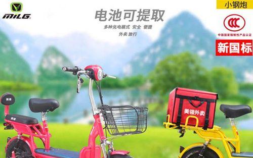 小钢炮电池无法充电的原因是什么？如何解决？