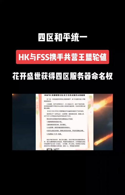 10区服务器为何消失？玩家如何处理相关问题？