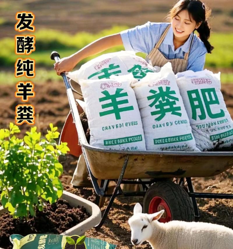 以羊催肥的简易方法（如何快速增重及提高品质）