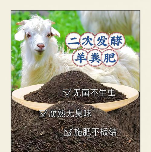 以羊催肥的简易方法（如何快速增重及提高品质）