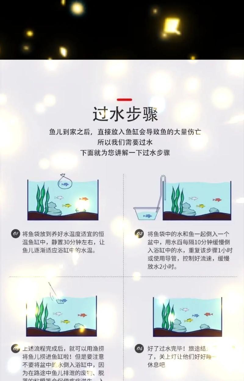 如何让新买的鱼适应水环境（从准备水质到逐渐适应）