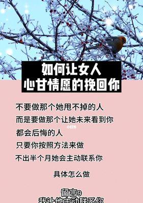 挽回女人心的秘诀（——恢复感情）