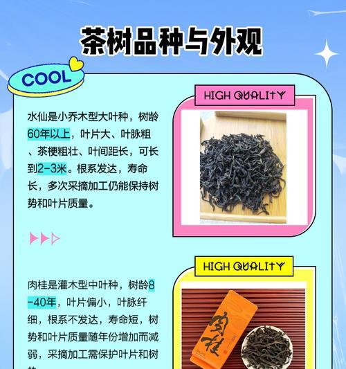 水仙和肉桂（花香与香料的不同之处与优势）