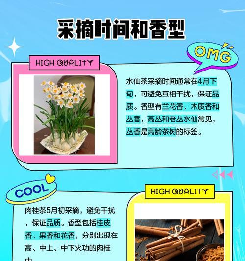 水仙和肉桂（花香与香料的不同之处与优势）