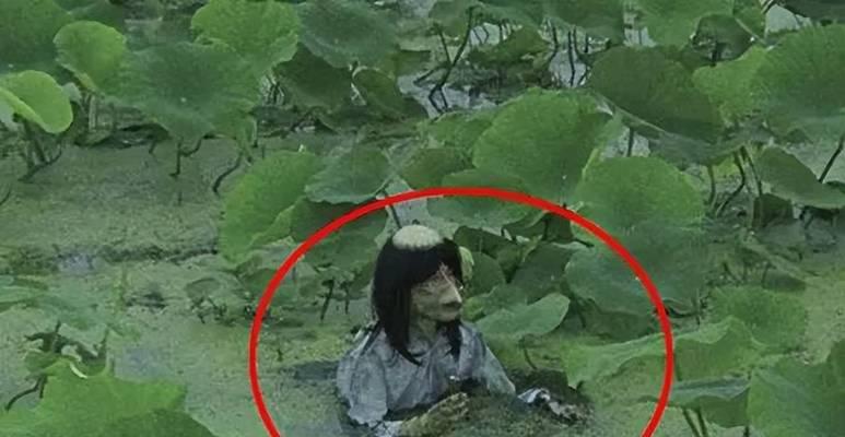 认识水猴子——一种独特的水生动物（探秘水猴子的生活习性和特征）