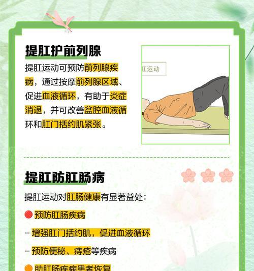 提肛运动的益处（如何通过提肛运动提升身体健康）