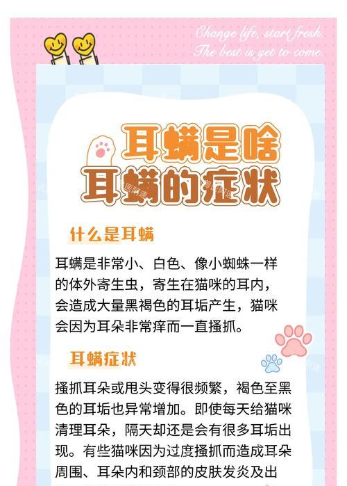 猫咪有耳螨怎么办（了解耳螨症状）